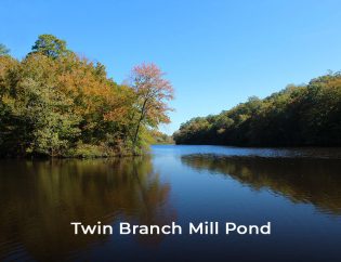Twin Branch Mill Pond