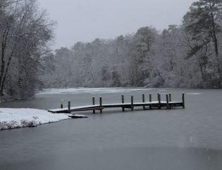 Pond Snow