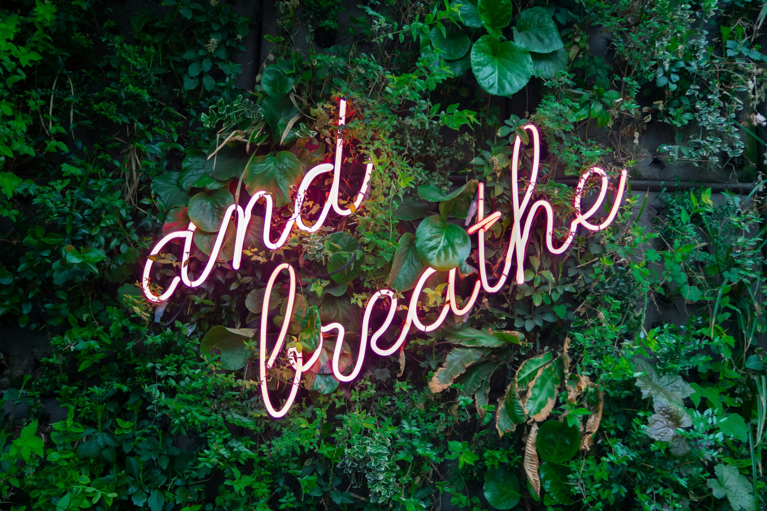 "and breathe" bright pink signage on green leaves